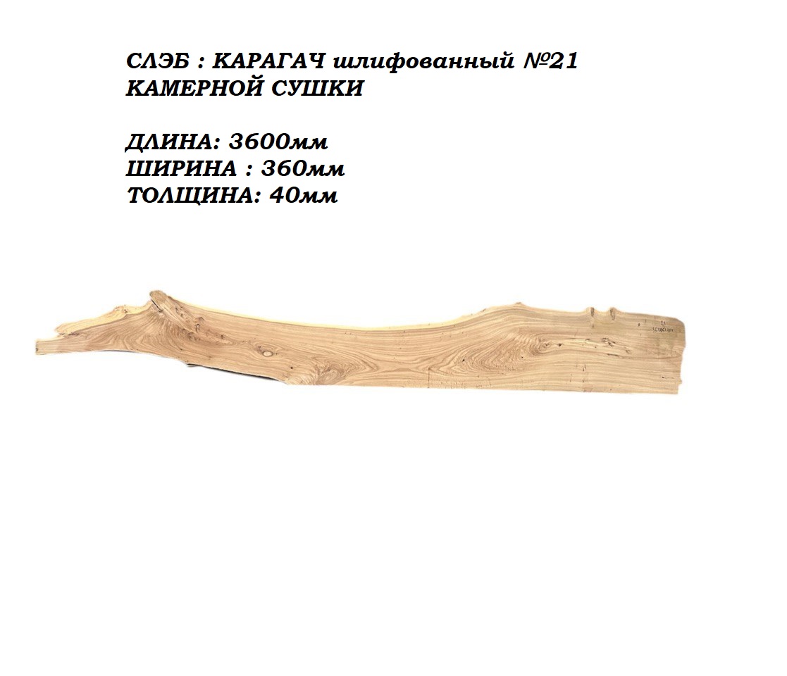 Слэбы и спилы деревьев - Спилы и слэбы из дерева купить в Москве, СПБ и Курске. У нас вы можете подобрать и купить слэб дуба, слэб карарагач и других пород дерева.