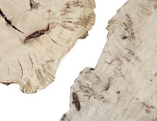 Слэбы и спилы деревьев - Спилы и слэбы из дерева купить в Москве, СПБ и Курске. У нас вы можете подобрать и купить слэб дуба, слэб карарагач и других пород дерева.