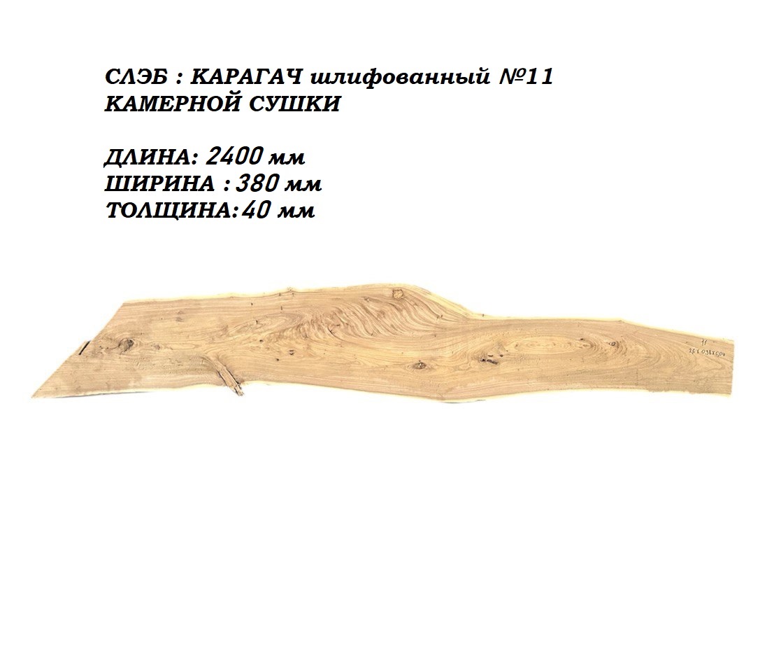 Слэбы и спилы деревьев - Спилы и слэбы из дерева купить в Москве, СПБ и Курске. У нас вы можете подобрать и купить слэб дуба, слэб карарагач и других пород дерева.